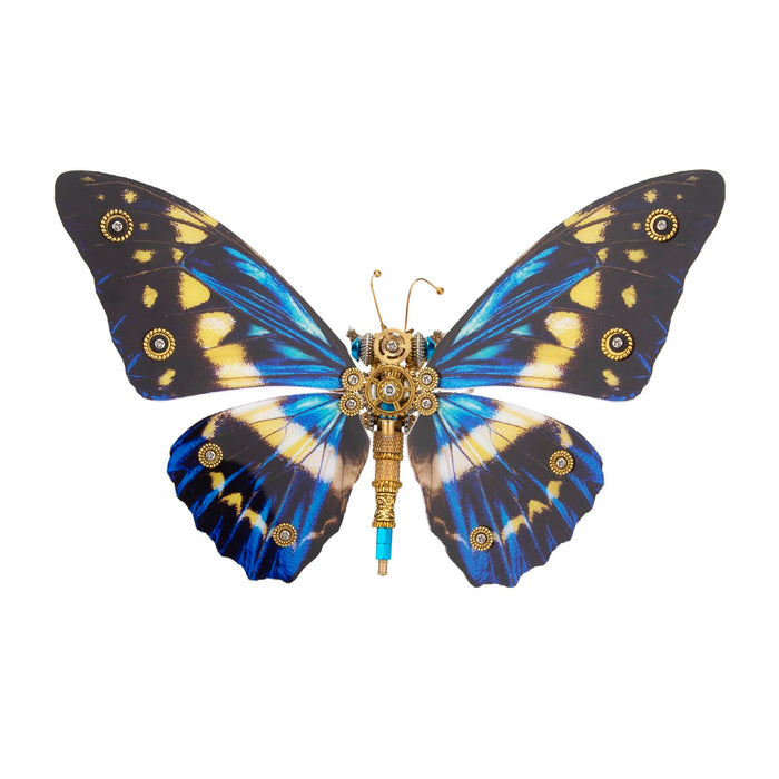 Helena Butterfly