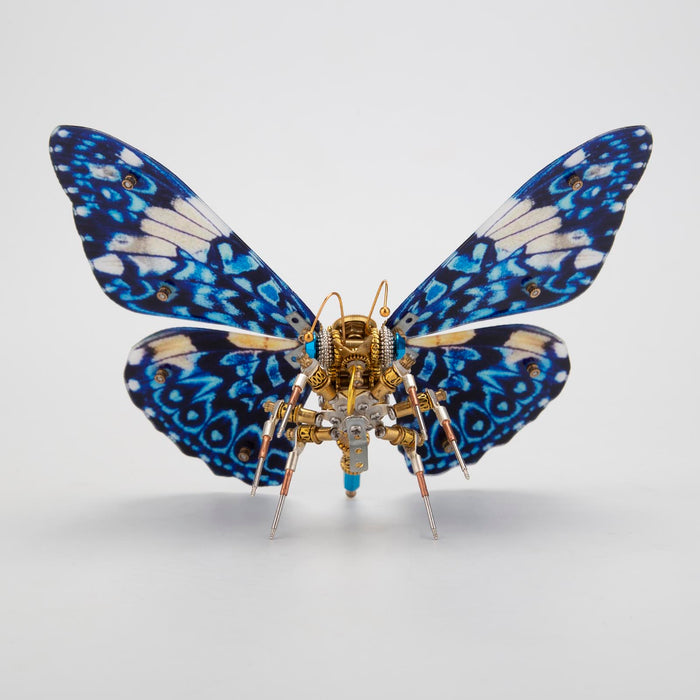 Steampunk Morpho Butterfly Kits for Butterfly Lovers Steampunk Decor