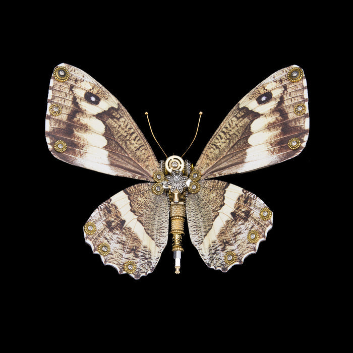 Steampunk Owl butterfly 3D DIY Kits Caligo Eurilochus 150PCS+