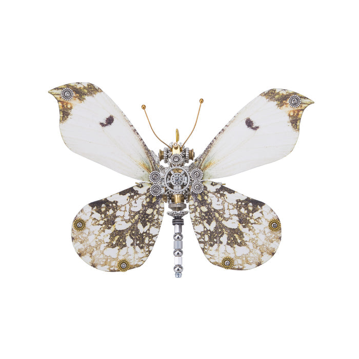 Anthocharis scolymus