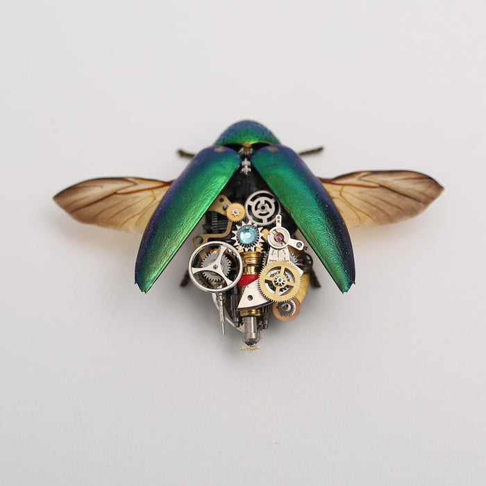 Steampunk Shiny Green Jewel Beetle Bug Insect Gothic Model with Frame