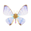 Steampunk Stunning Morpho Sulkowskyi Butterfly 3D DIY Metal Puzzle