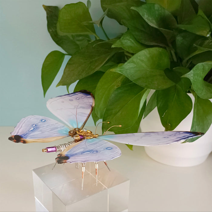 Steampunk Stunning Morpho Sulkowskyi Butterfly 3D DIY Metal Puzzle
