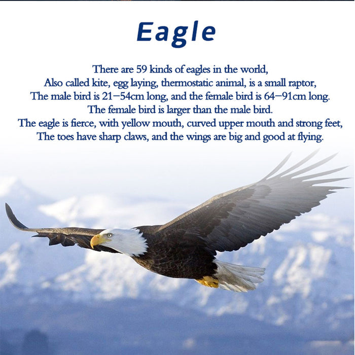 TECHING Bald Eagle Automaton KITS Model Building Kit DIY Mechanical 3D Metal Puzzles