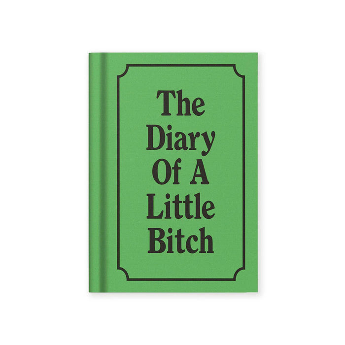 Green mini notebook titled 'The Diary Of A Little Bitch' on a white background.