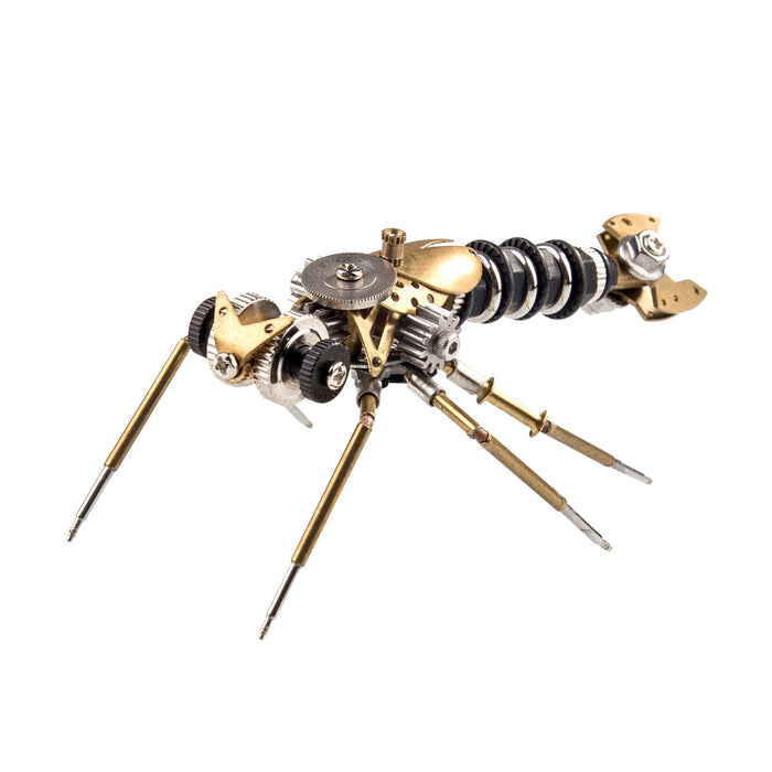 Earwigs