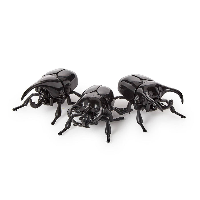 Three glossy black beetle toy figures arranged together on a plain white background.